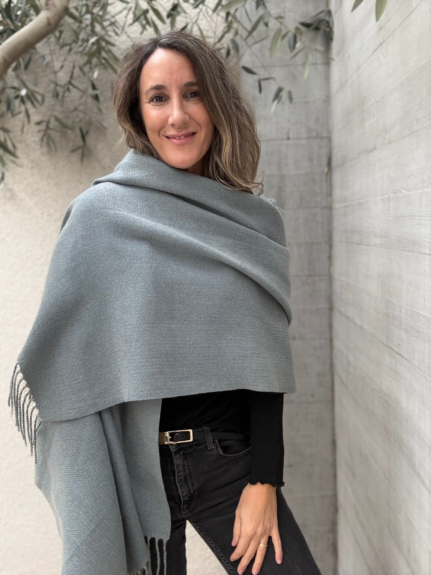 Pachimira gris celestoso