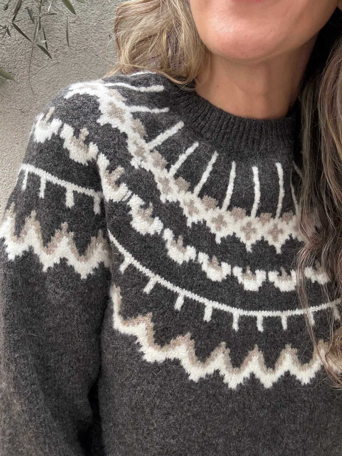 Sweater Alpes café oscuro