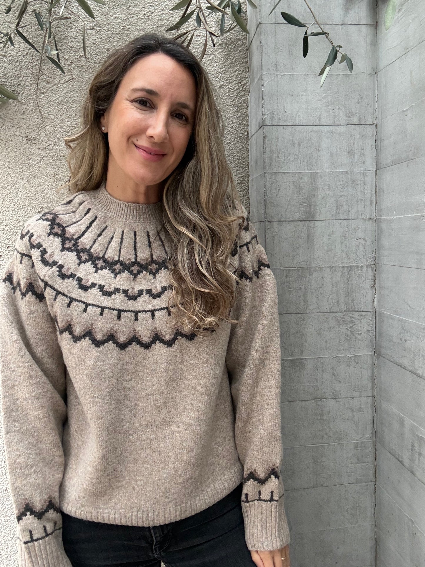 Sweater Alpes taupe