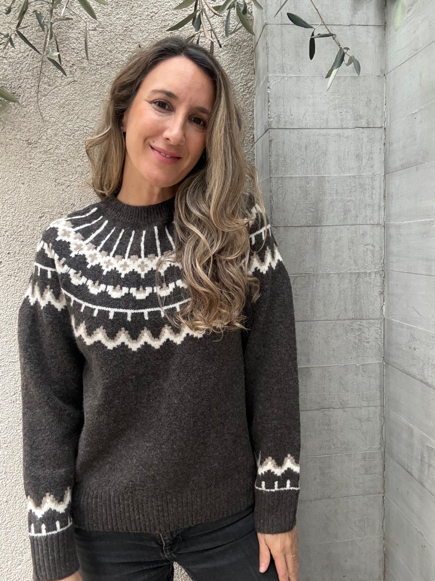 Sweater Alpes café oscuro
