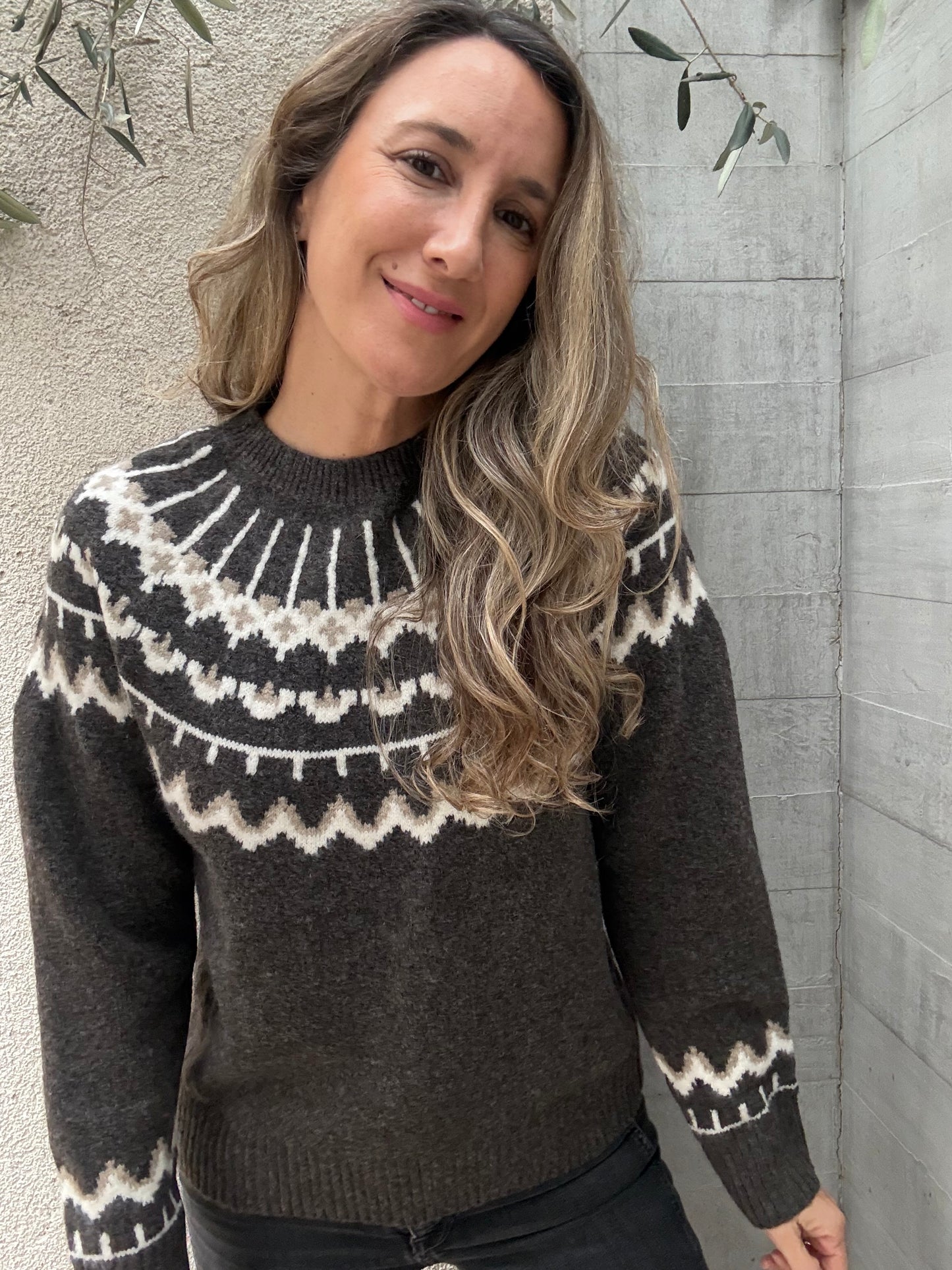 Sweater Alpes café oscuro