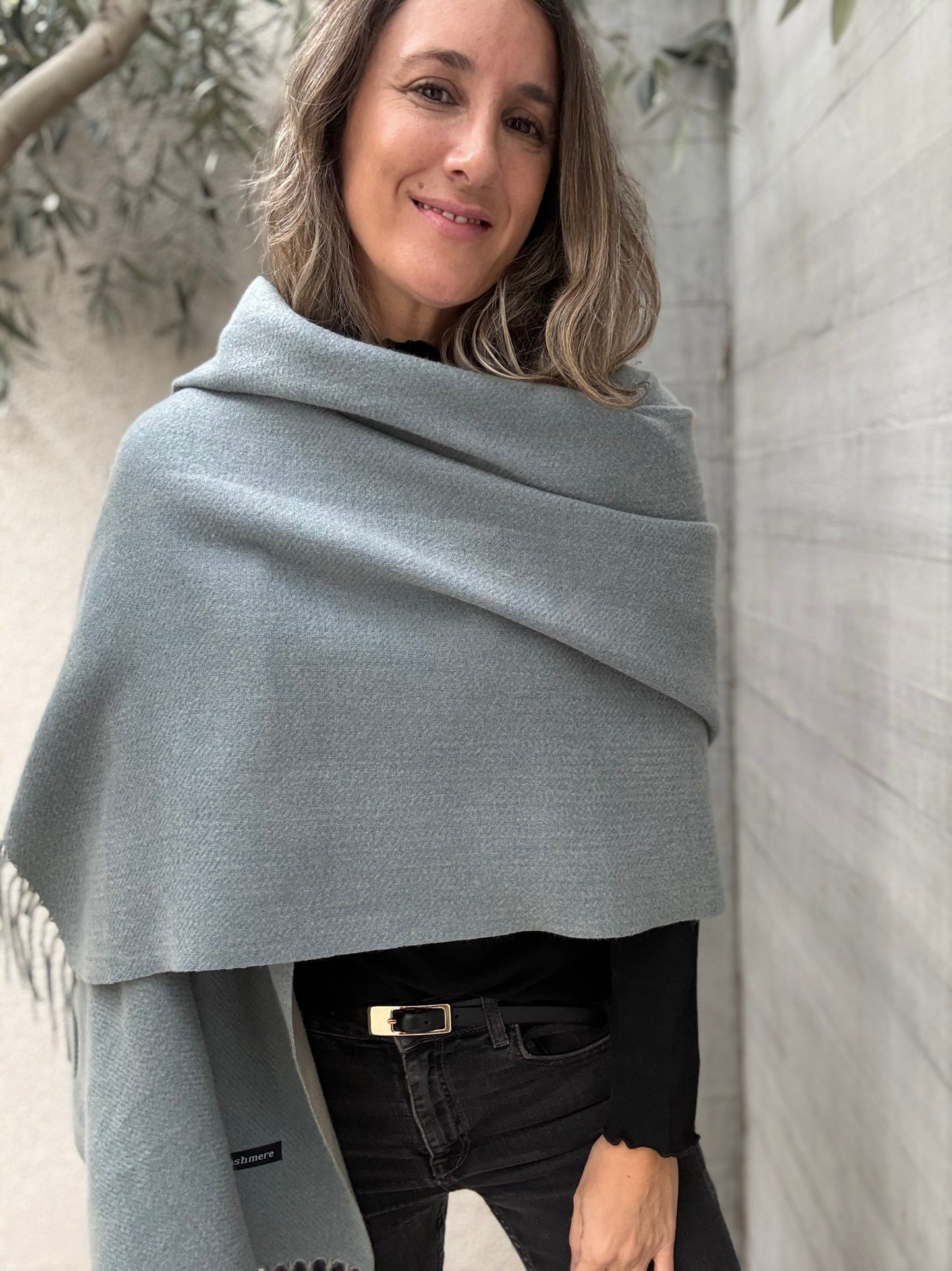 Pachimira gris celestoso