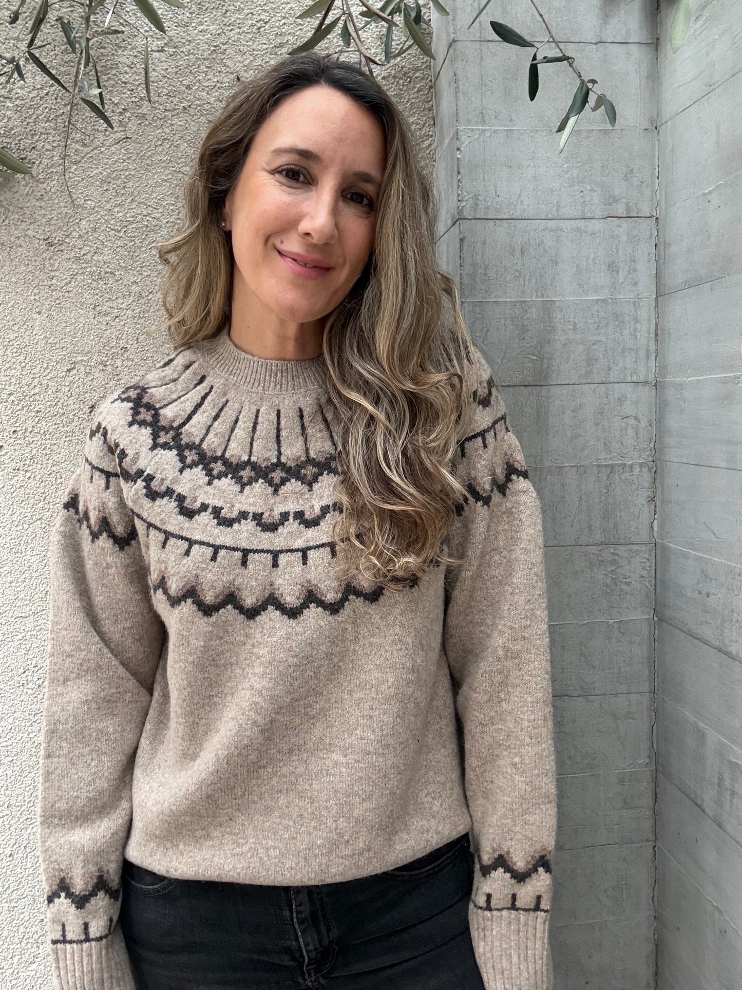 Sweater Alpes taupe