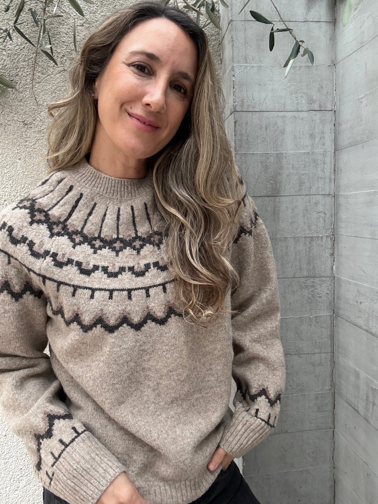 Sweater Alpes taupe