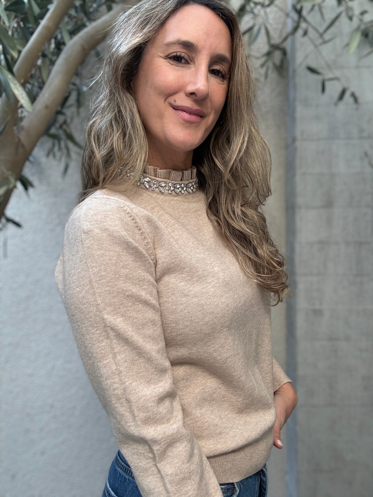 Sweater joyas