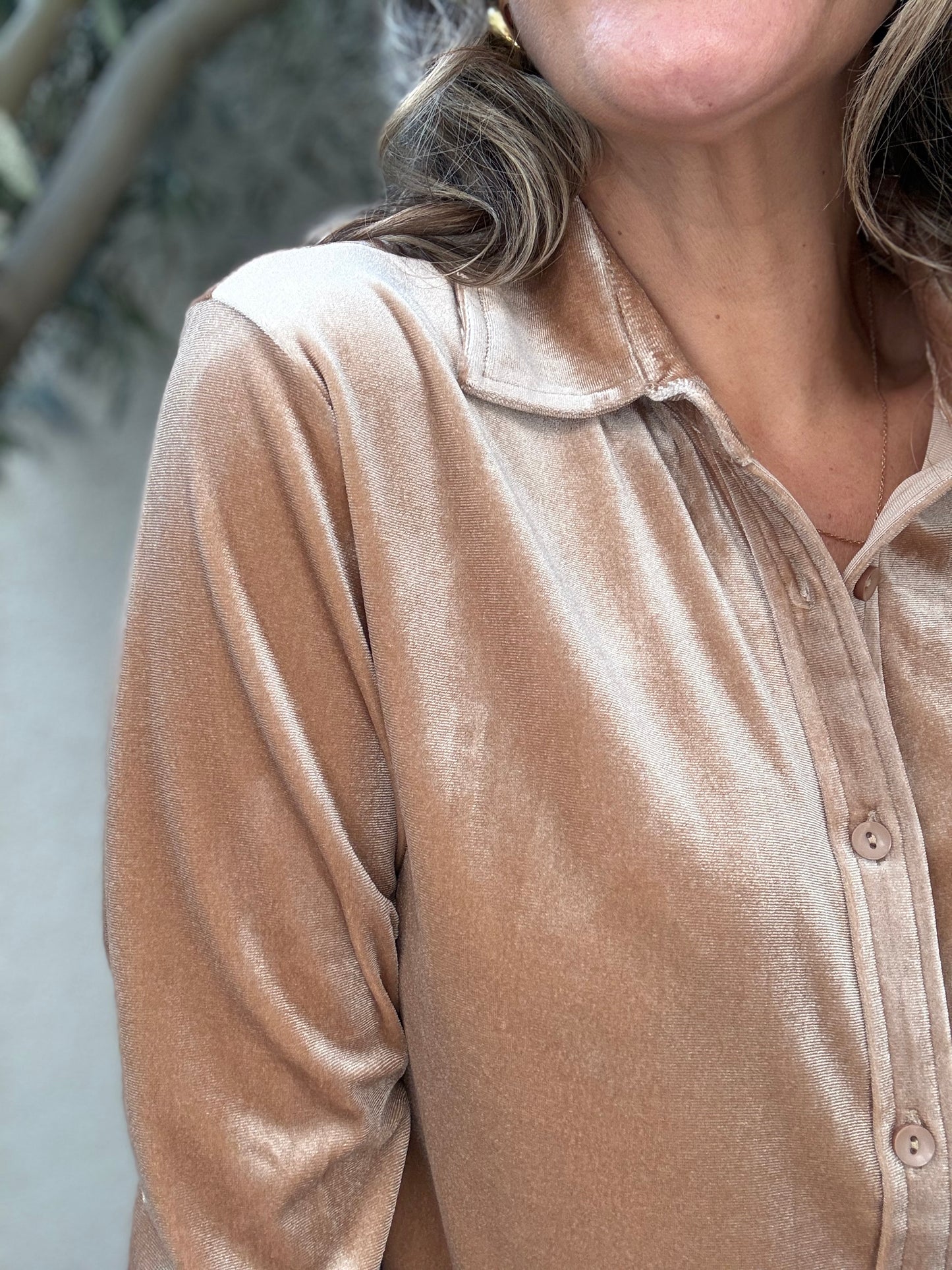 Blusa Terciopelo beige