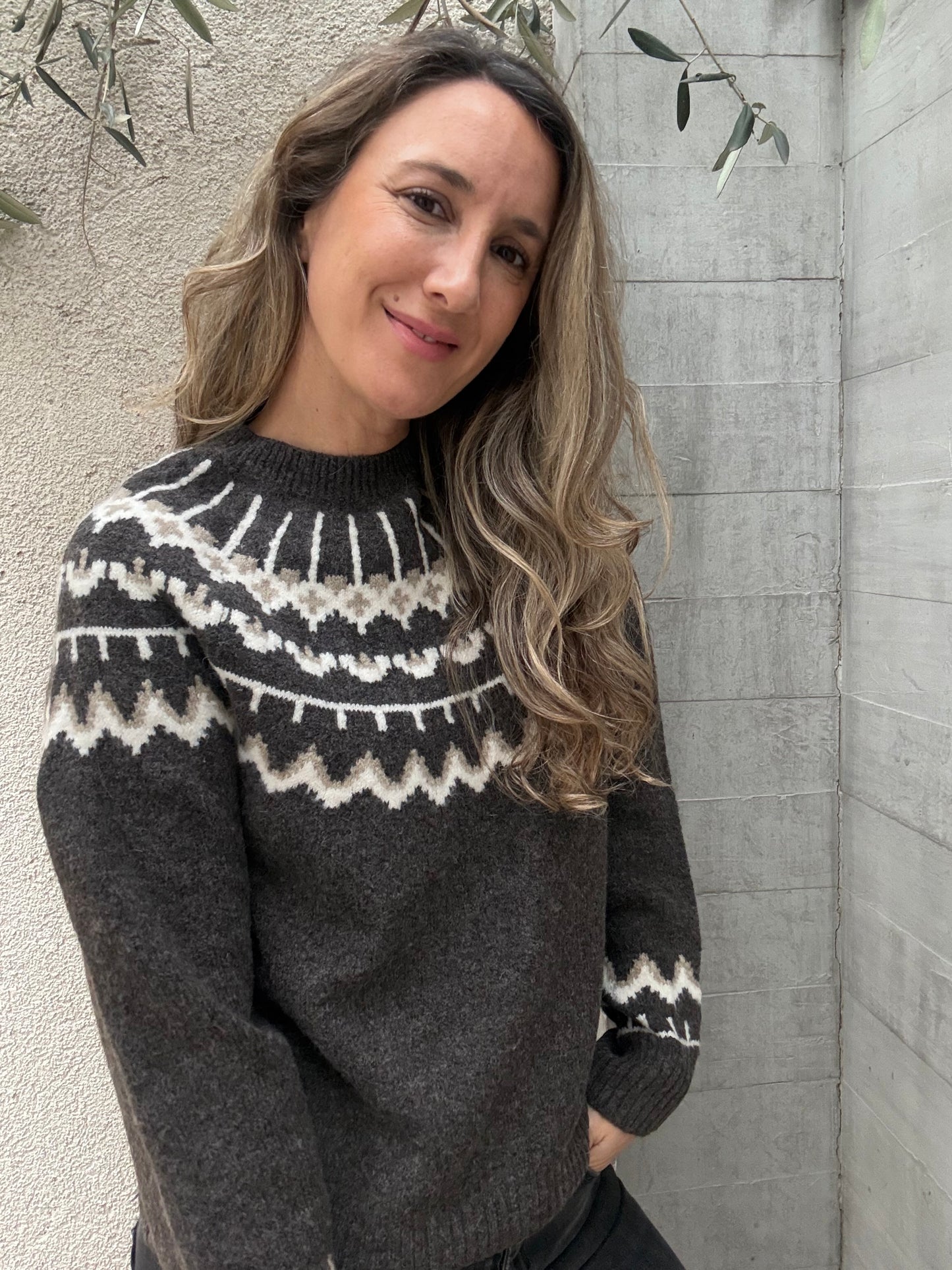 Sweater Alpes café oscuro