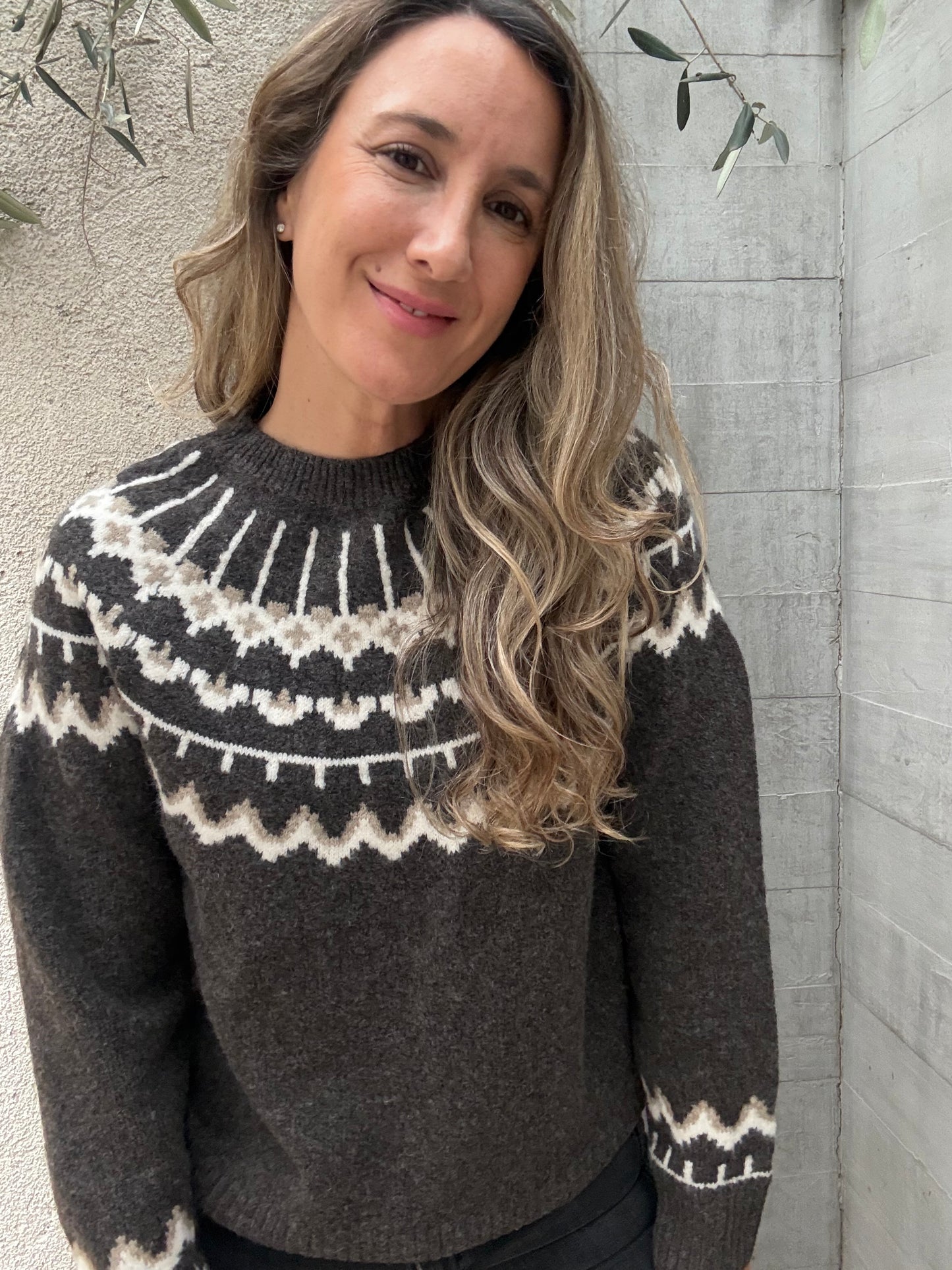 Sweater Alpes café oscuro