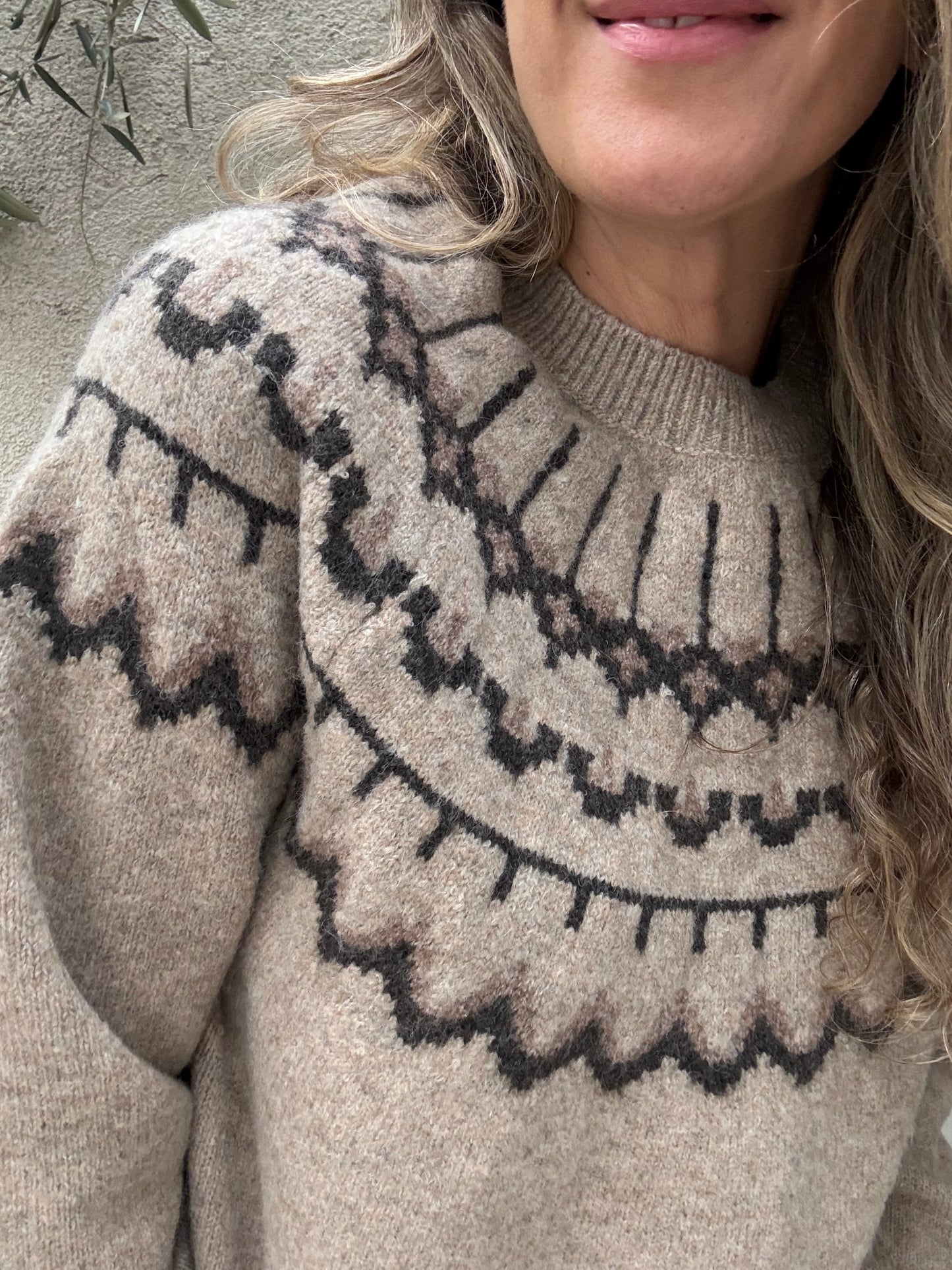Sweater Alpes taupe
