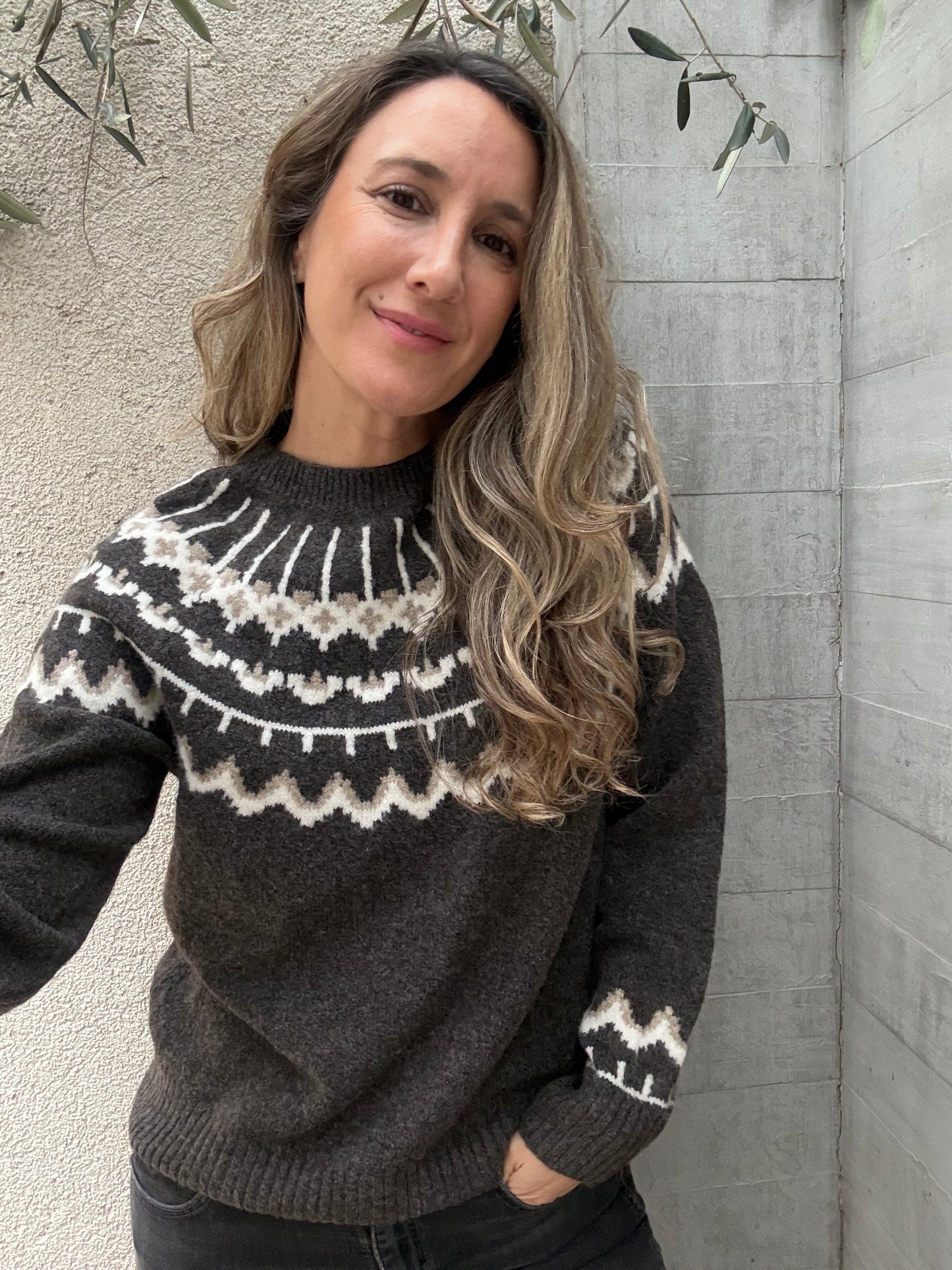 Sweater Alpes café oscuro