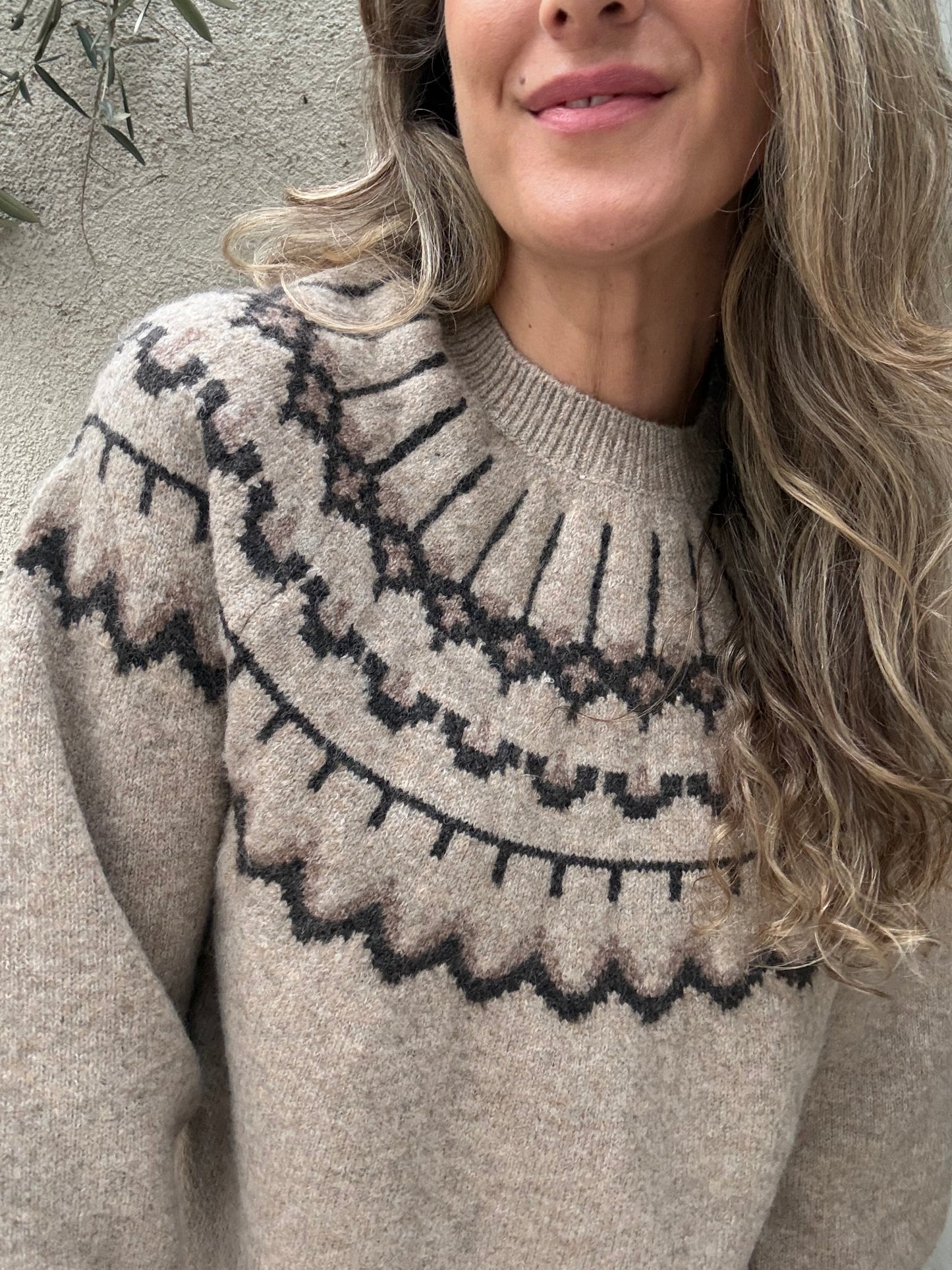 Sweater Alpes taupe