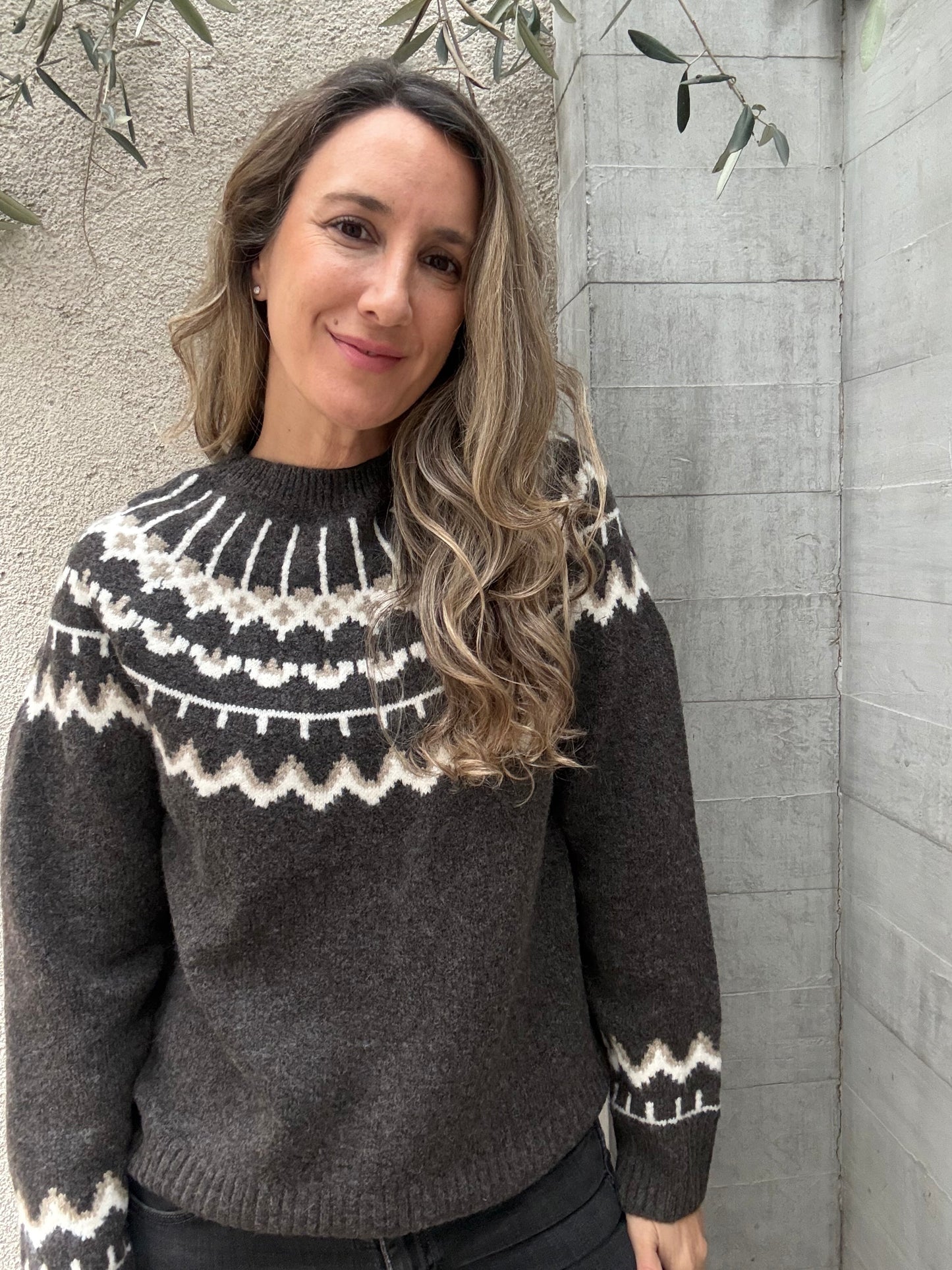 Sweater Alpes café oscuro